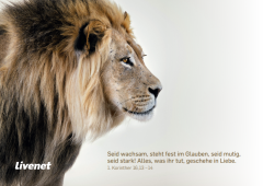 Postkarte Jahreslosung 2024 Löwe